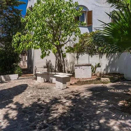 Residenza Delle Acacie E Del Ligustro - Le Di Valentina *
